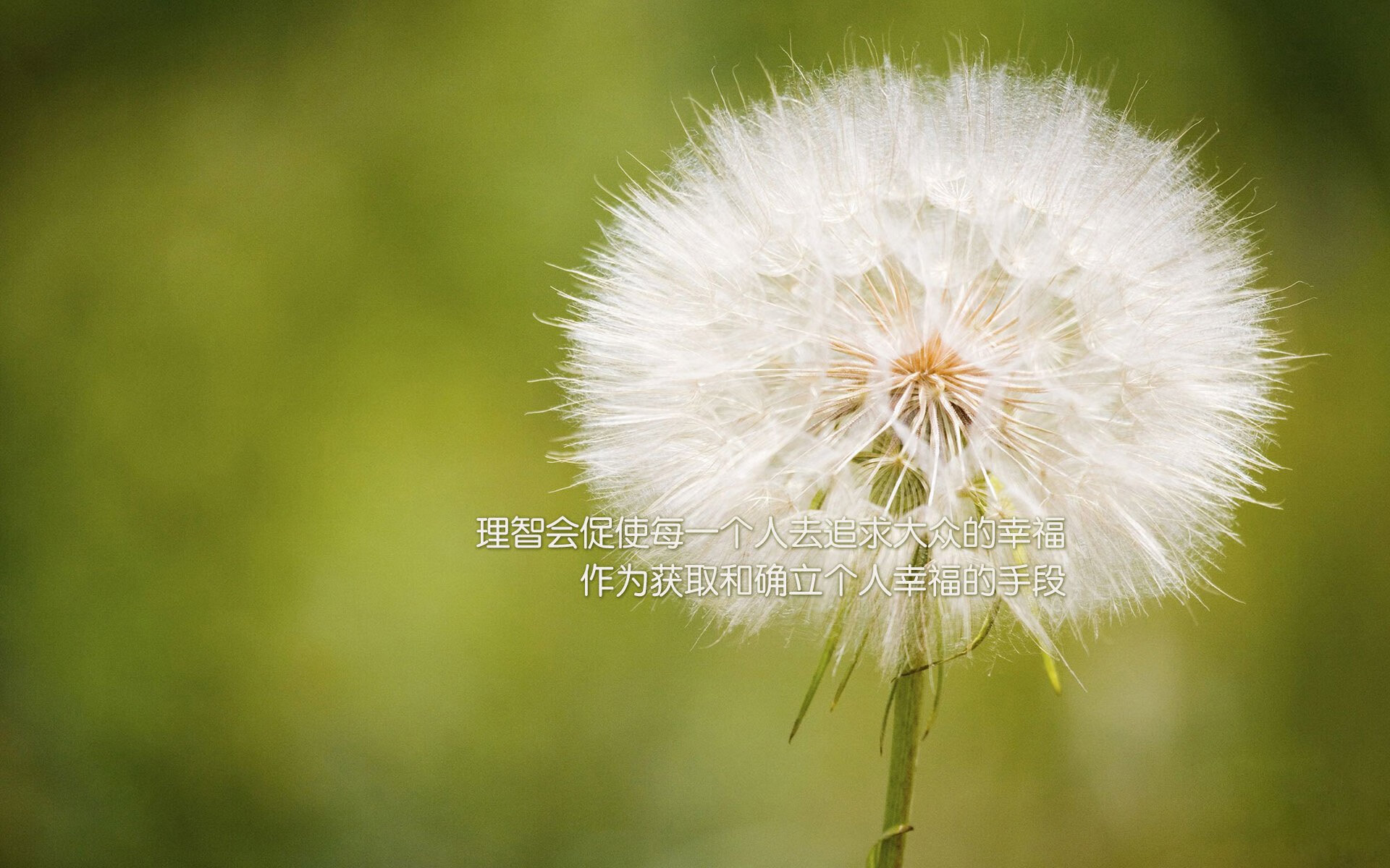 传奇再现:那些令人怀念的经典战役场景,传奇最经典的一首战歌