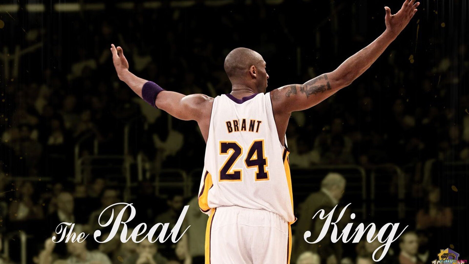 “华金·托比利亚的全能防守与强大突破力，成为美洲狮队不可或缺的一员”